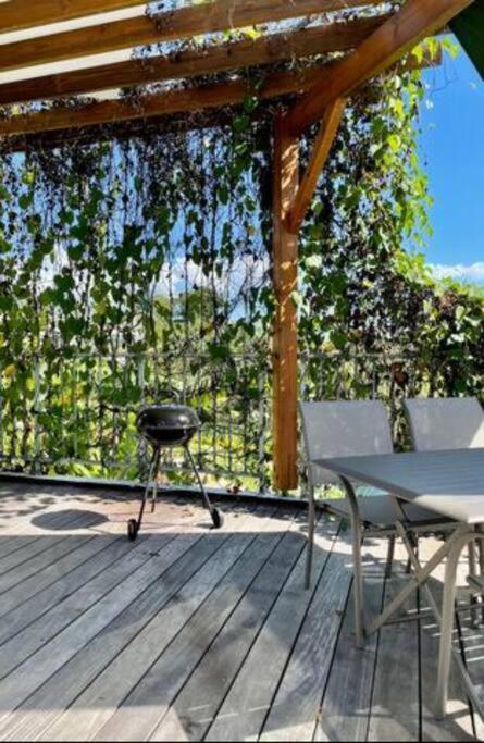 T3 Lumineux Avec Vue Exceptionnelle Et Piscine Oasis De Nature Et Serenite Petit-Canal Exterior foto